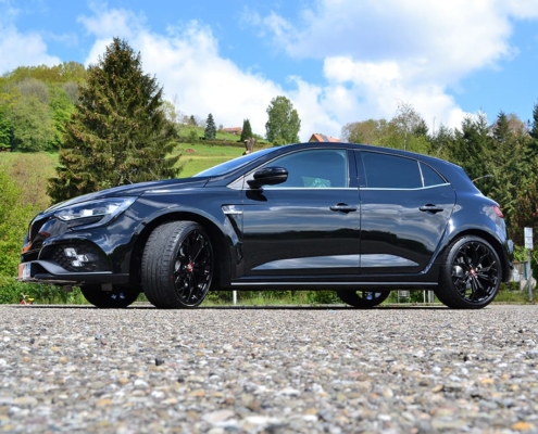 Detailing Renault Megane 4RS